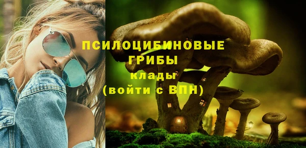 прущий лед Гусь-Хрустальный
