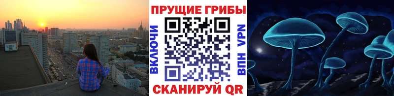 купить наркотики цена Гусиноозёрск Псилоцибиновые грибы ЛСД